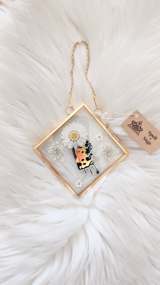 Athena Moth Floral Frame <4x4in>
