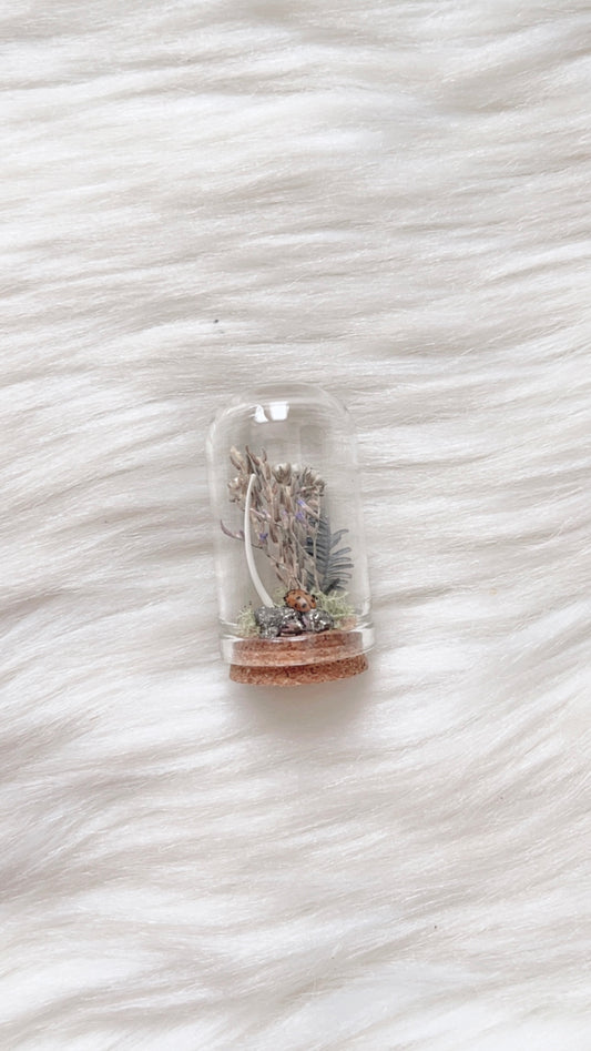 Aurora Terrarium