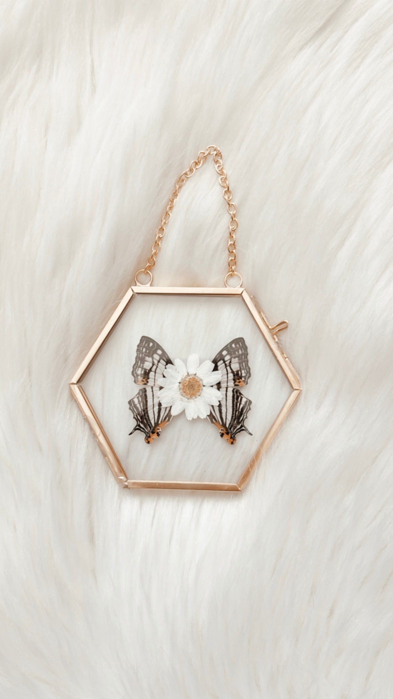 Ava Butterfly Floral Frame