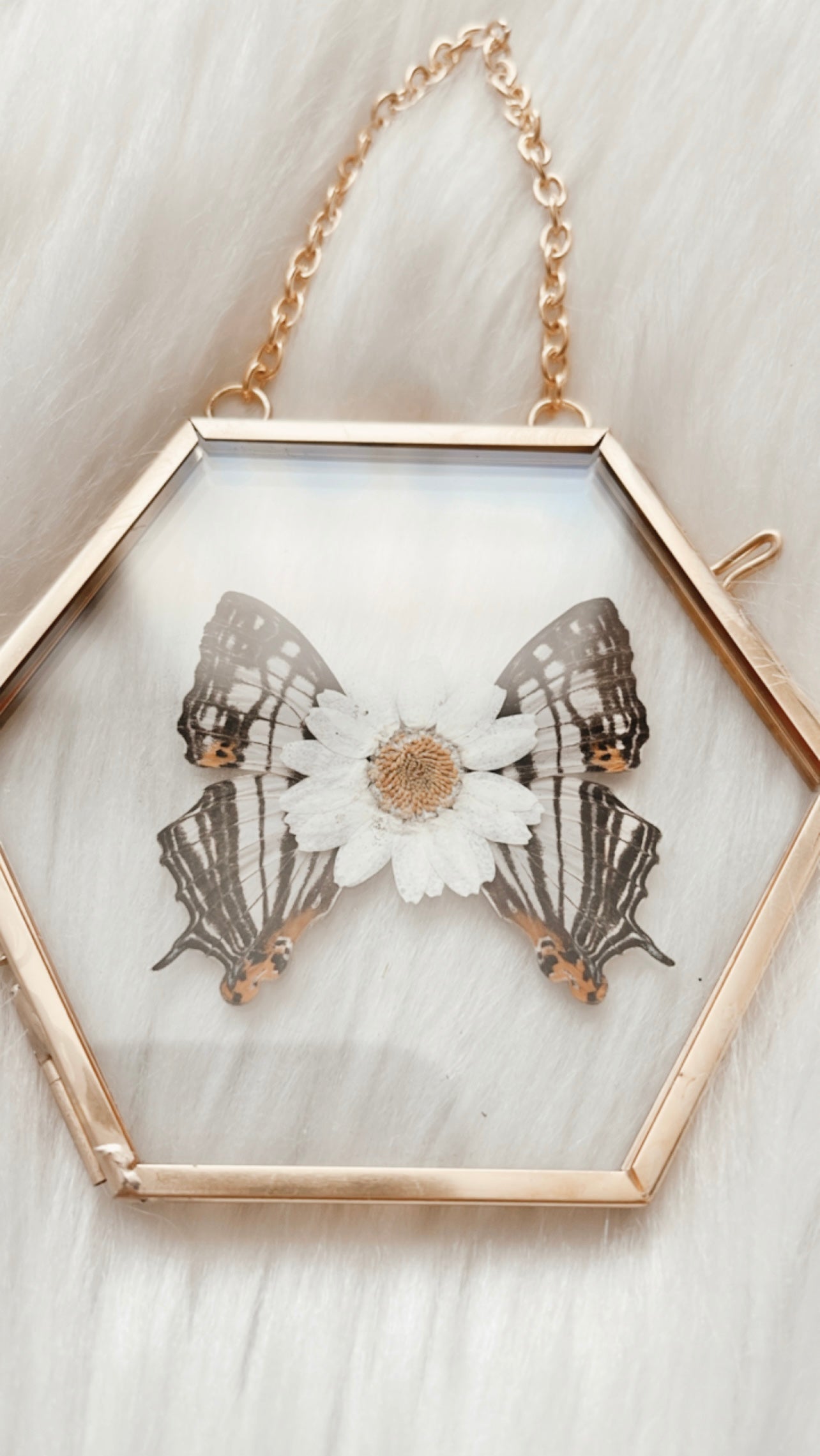 Ava Butterfly Floral Frame