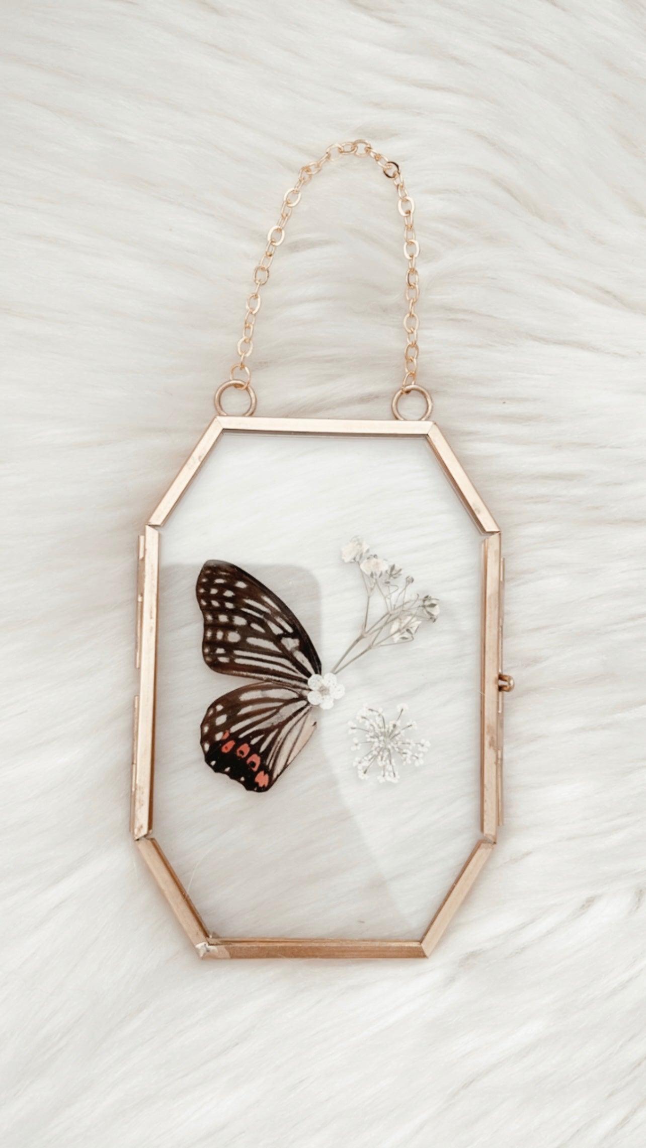 Ava Butterfly Floral Frame