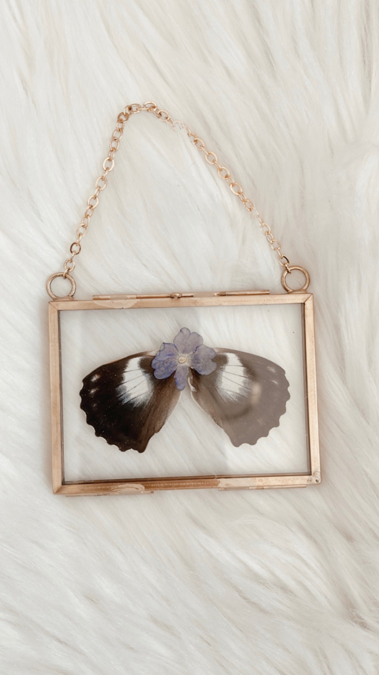 Avery Butterfly Floral Frame