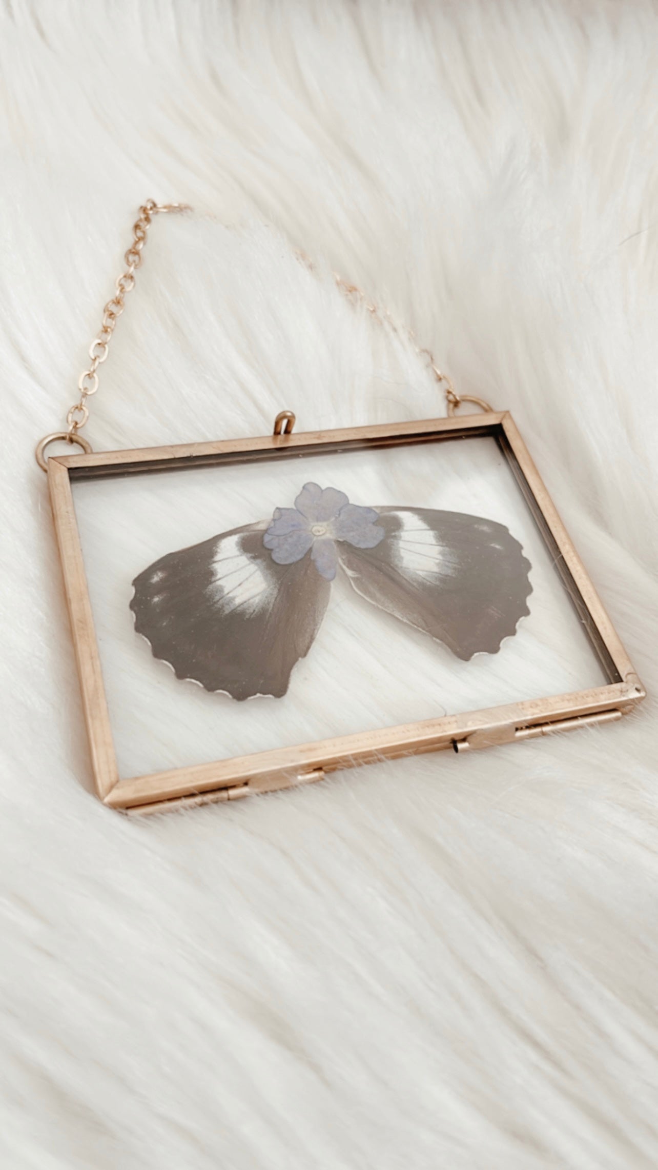 Avery Butterfly Floral Frame