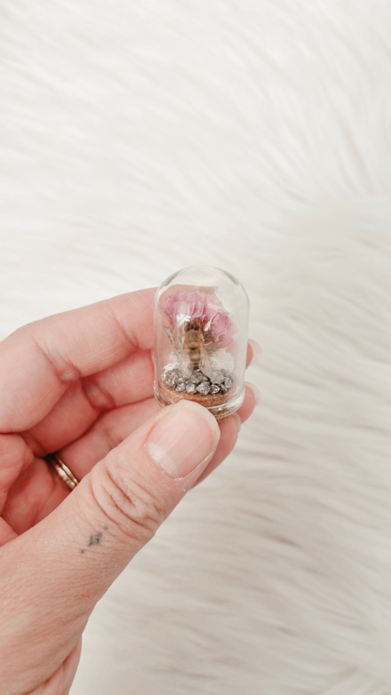 Bailey Mini Terrarium