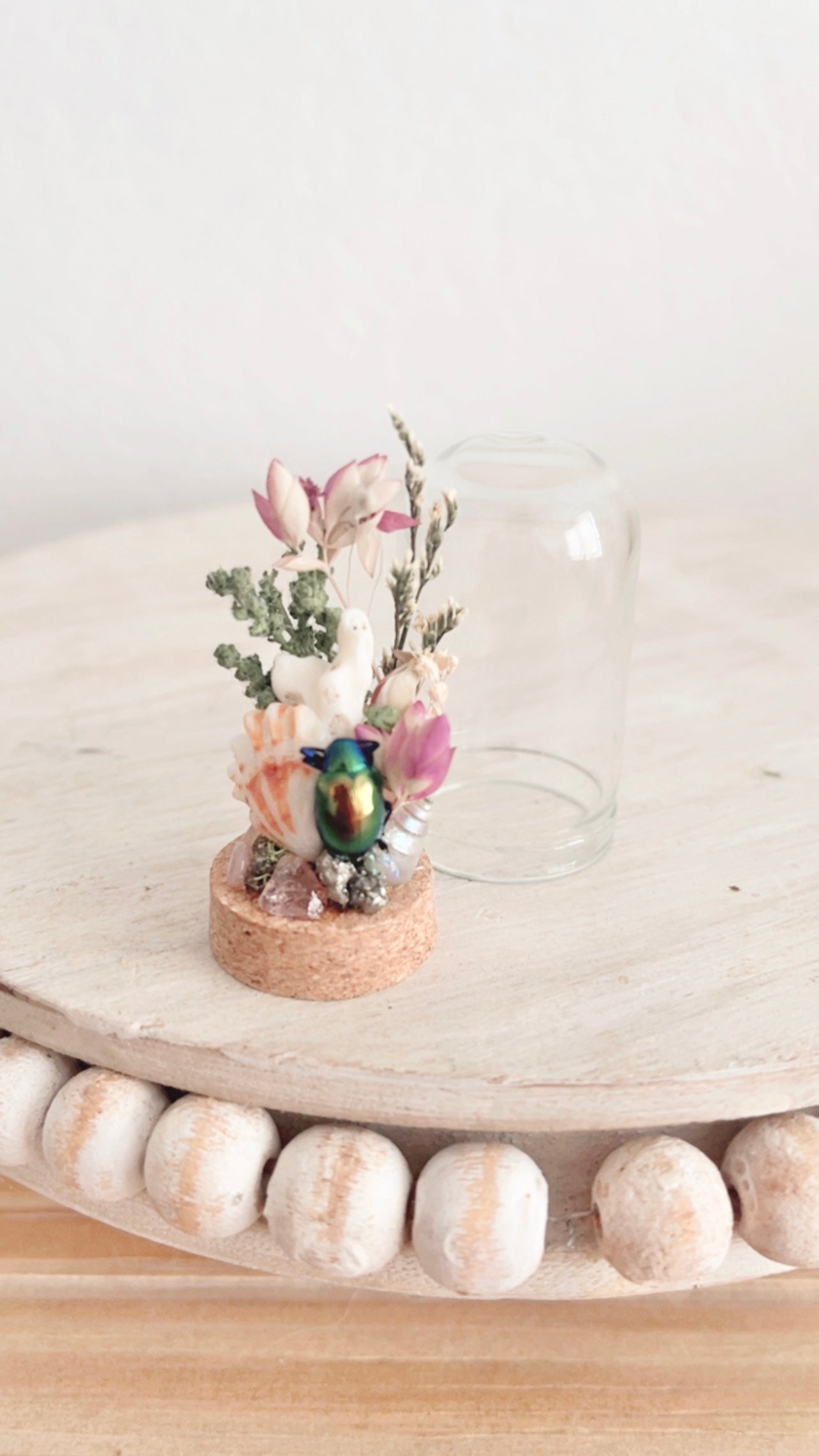 Bay Mini Terrarium