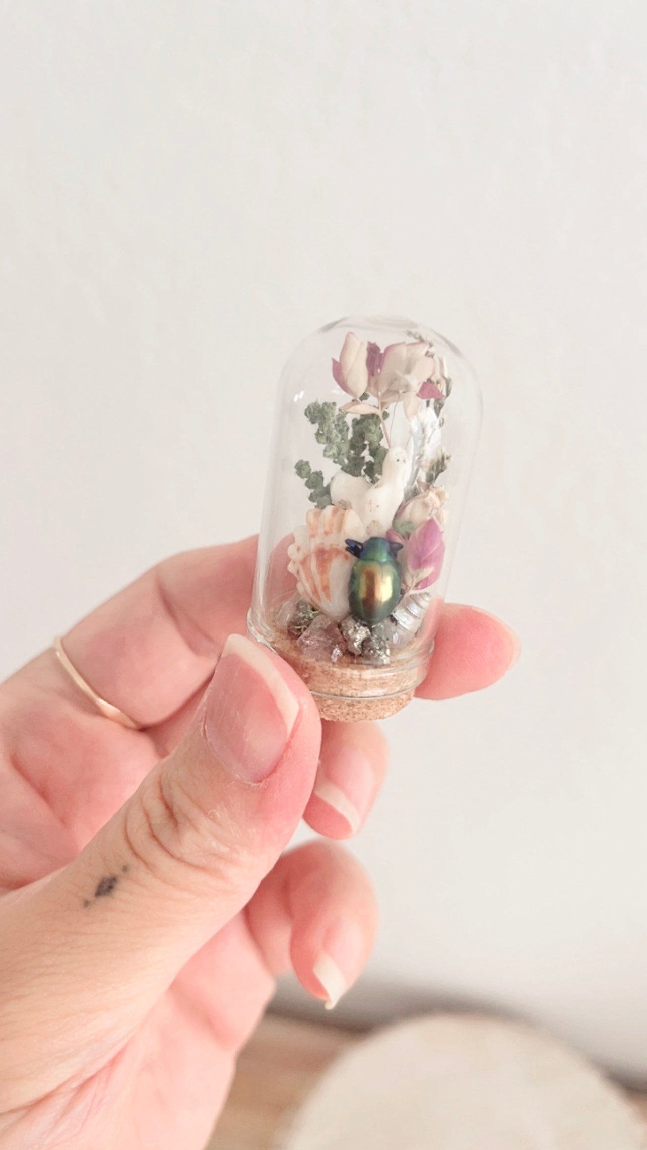 Bay Mini Terrarium