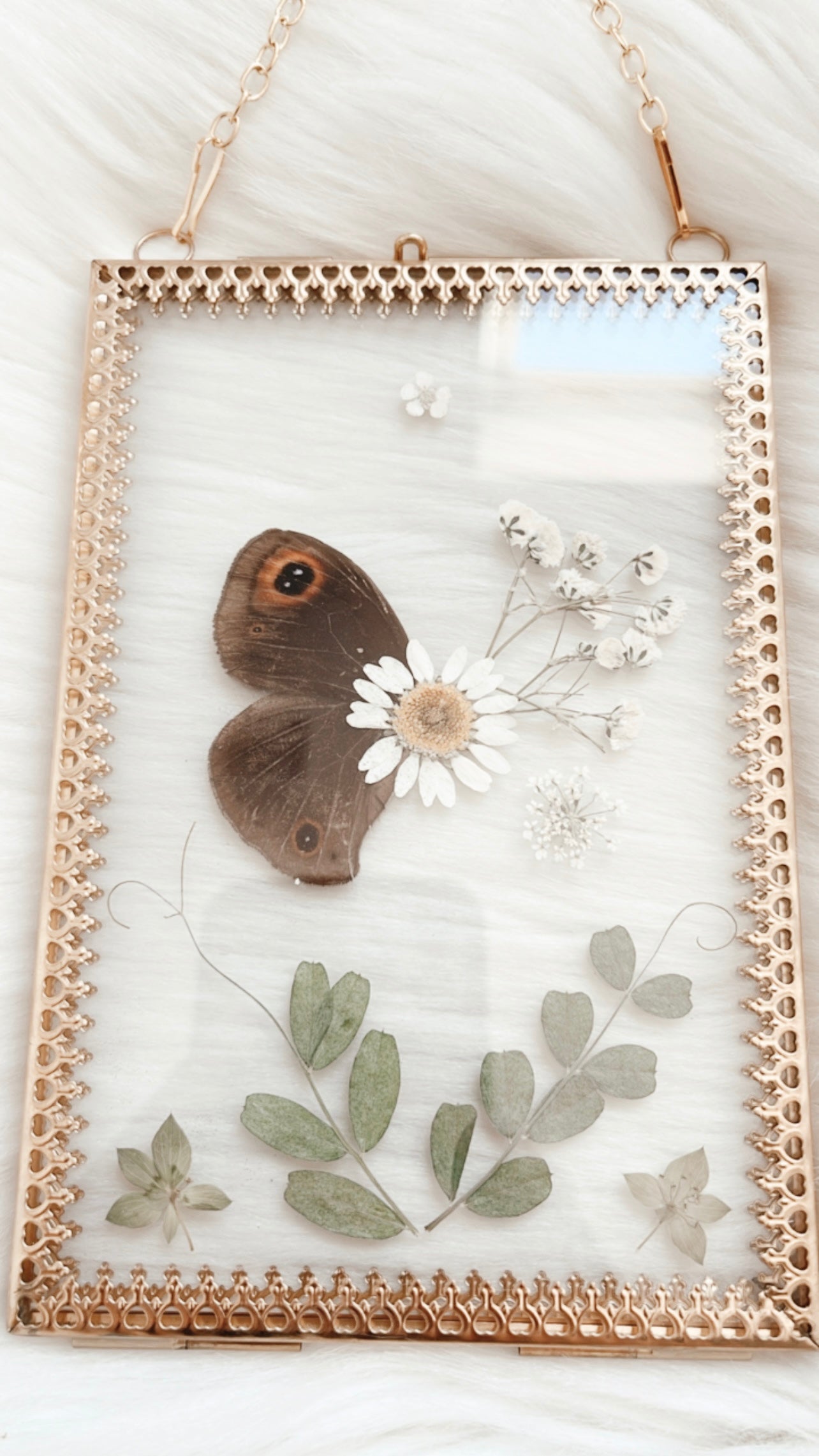Bea Butterfly Floral Frame