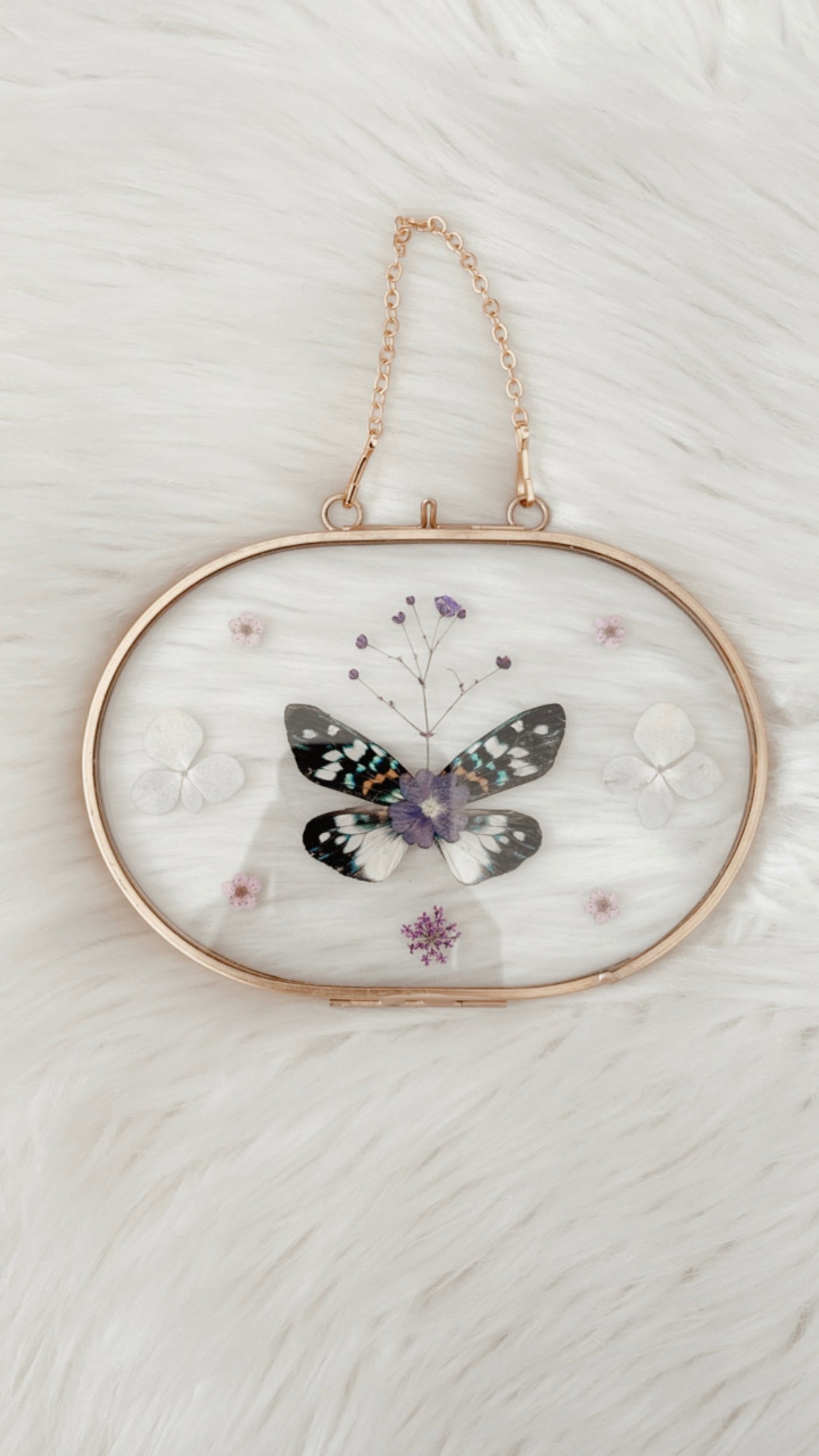 Belle Moth Floral Frame