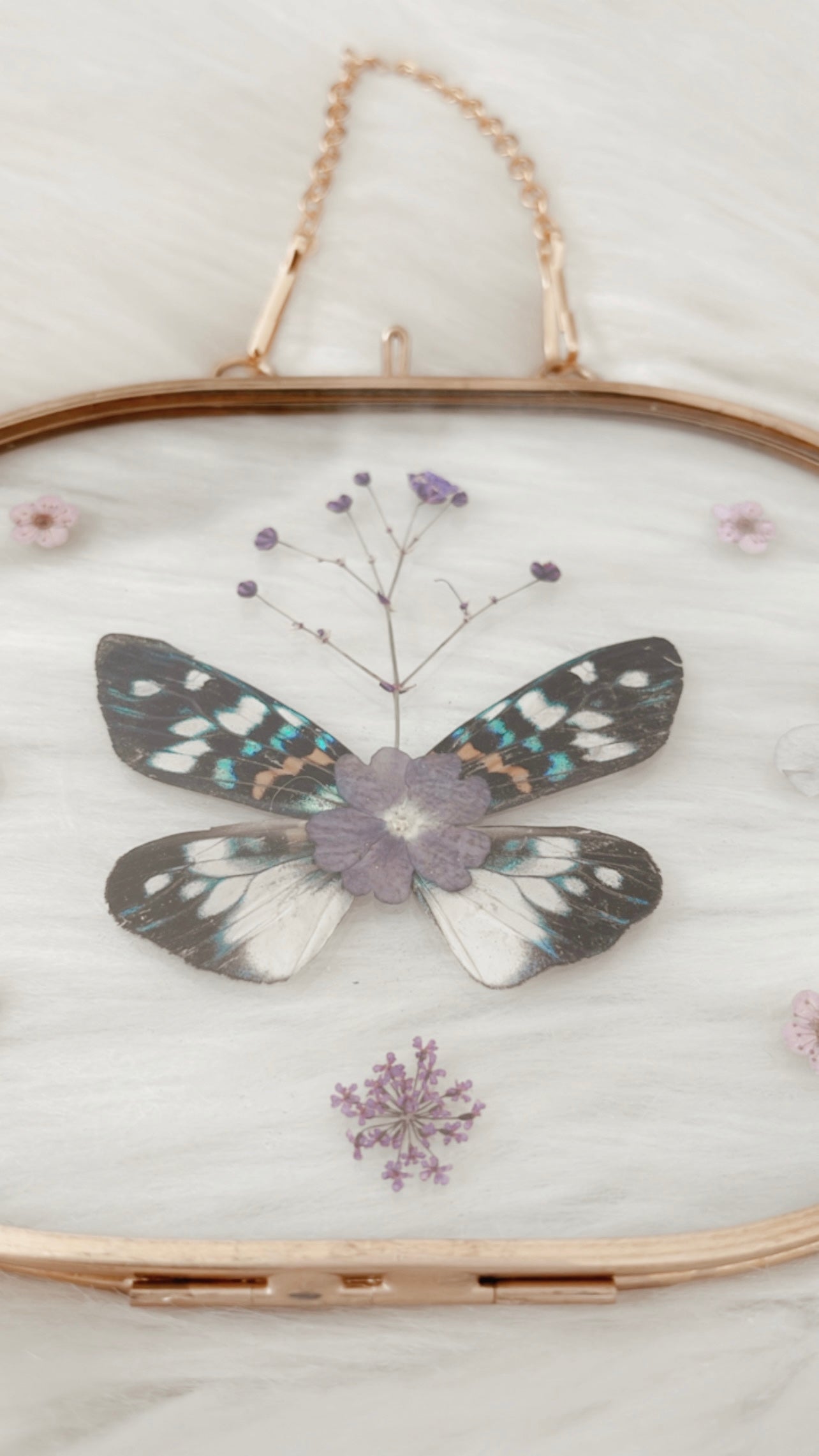 Belle Moth Floral Frame