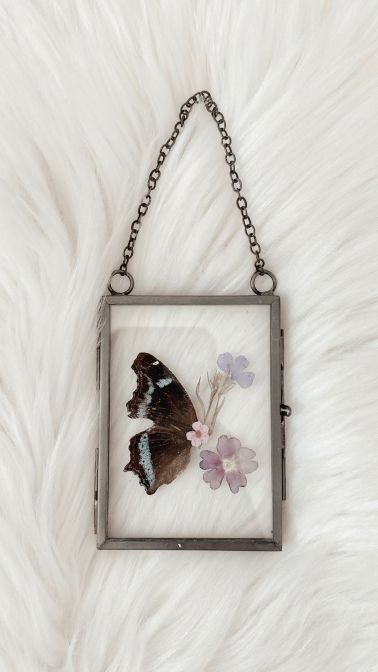 Bernadette Butterfly Floral Frame