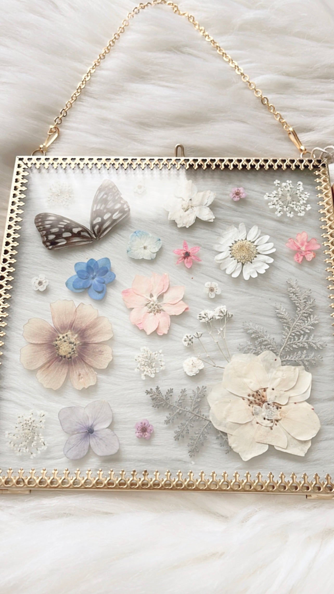 Betsy Butterfly Floral Frame <6.5x6.5in>