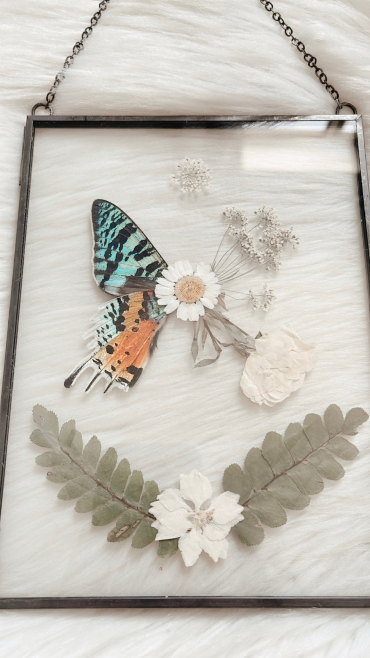 Bianca Sunset Moth Floral Frame