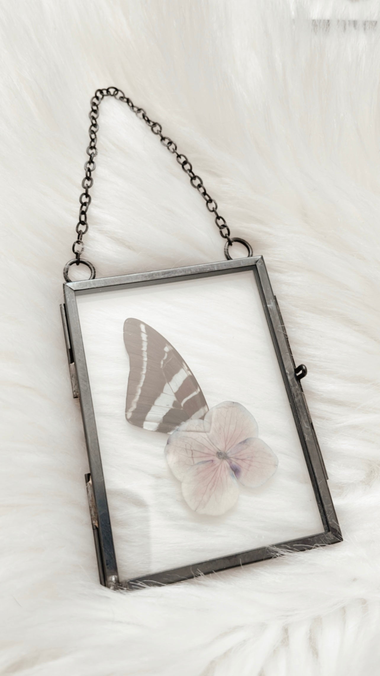 Billie Butterfly Floral Frame