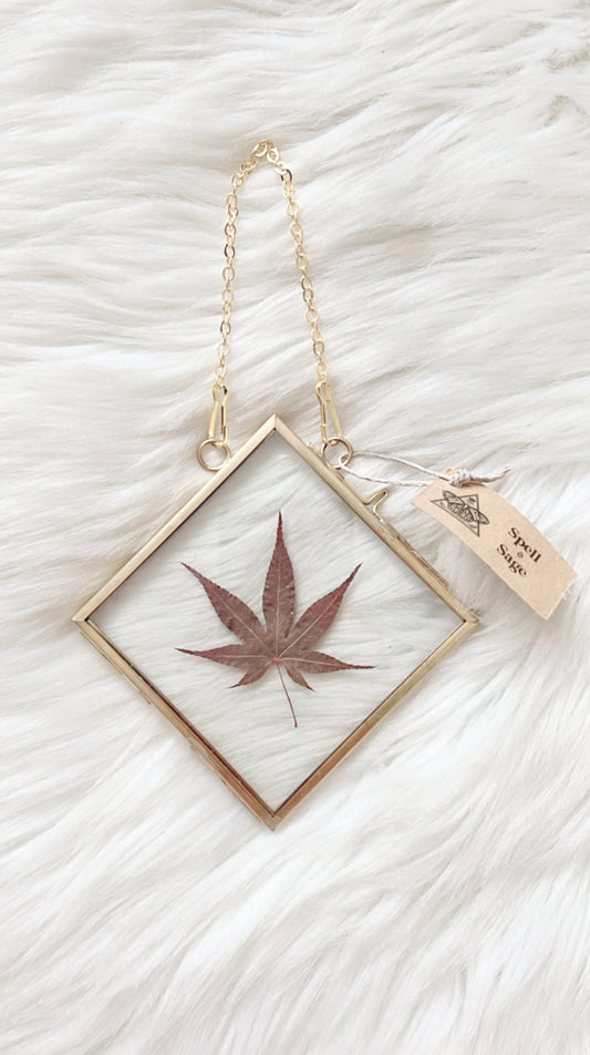 Bobette Leaf Frame <4.75x4.75in>