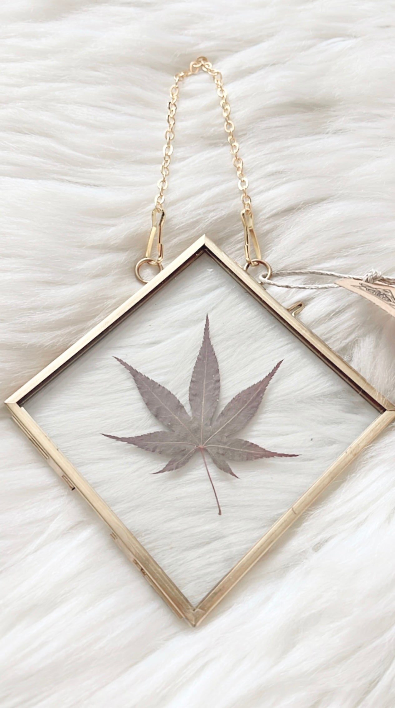 Bobette Leaf Frame <4.75x4.75in>