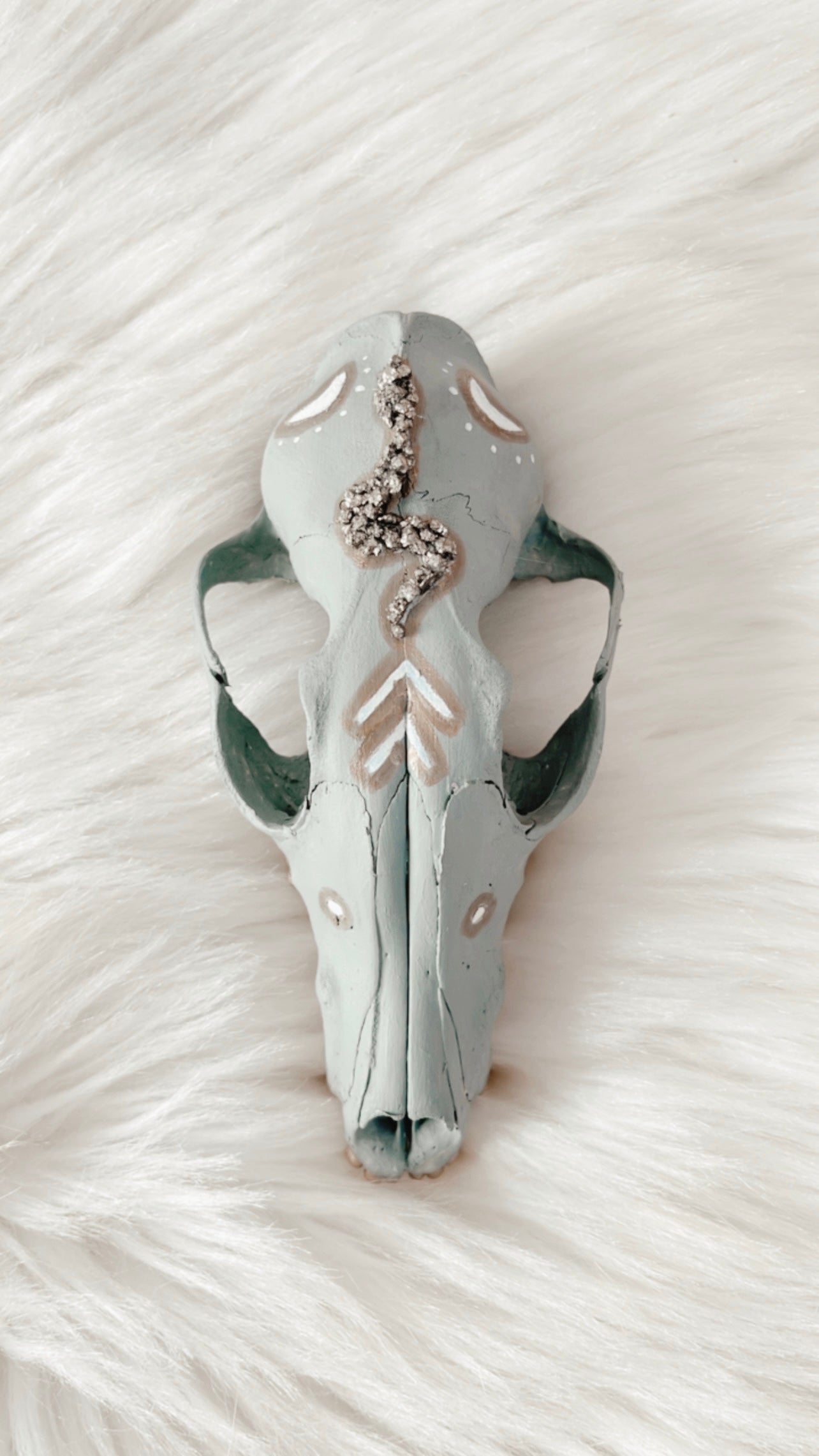 Bodhi Fox Skull