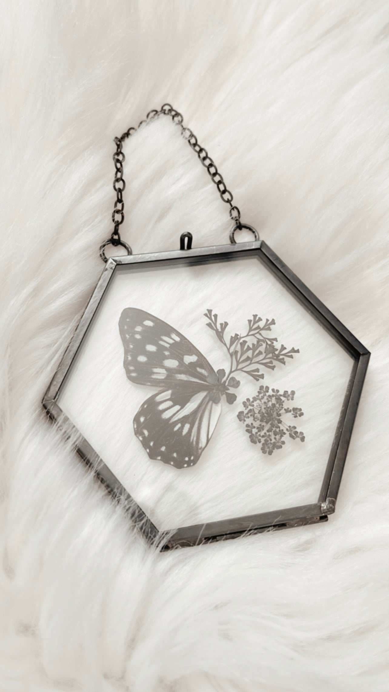 Brandy Butterfly Floral Frame