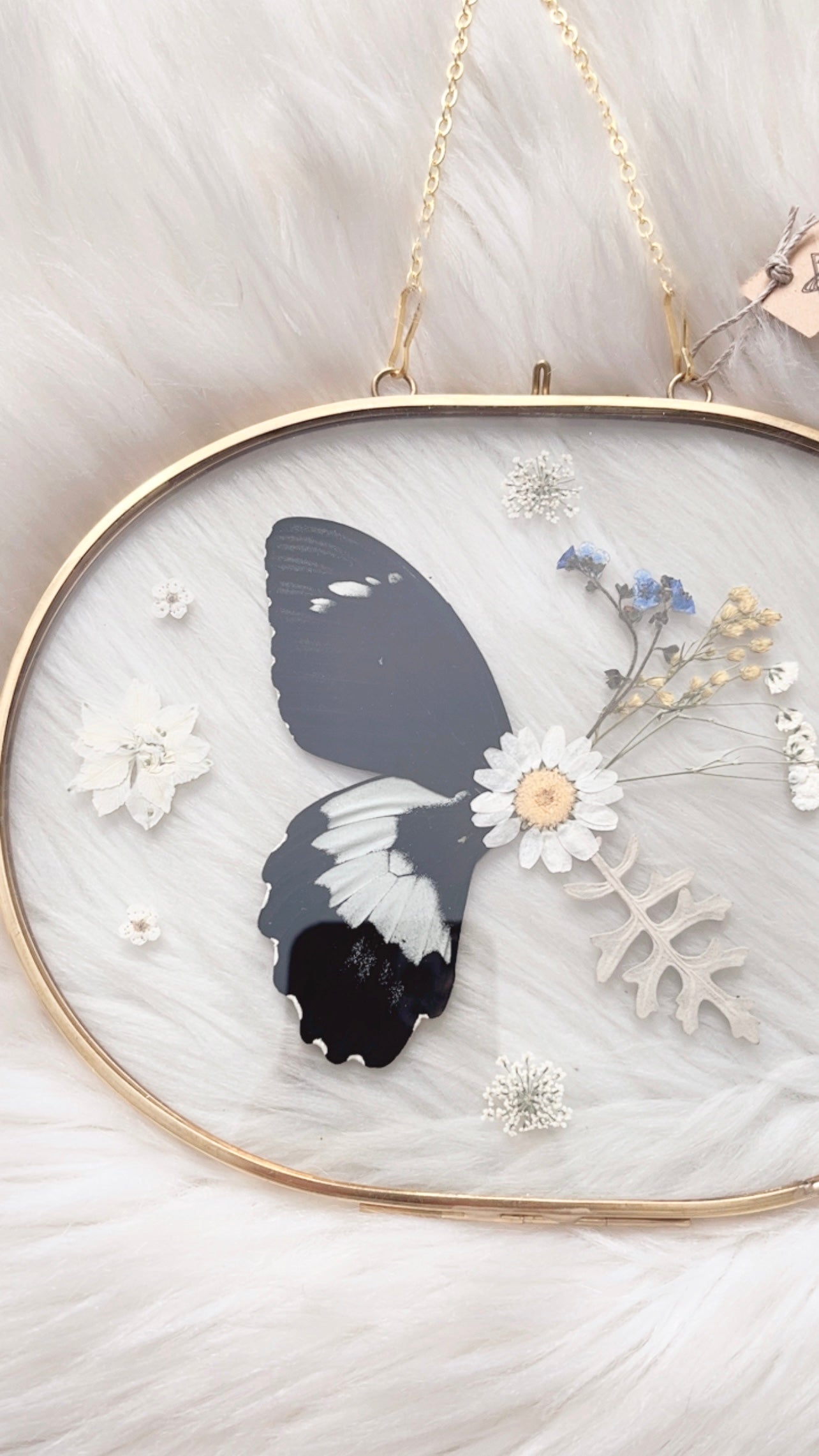 Briar Butterfly Floral Frame <8.5x6.5in>