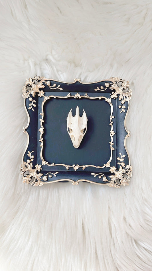 Mage Oddities Frame <Turtle Skull>