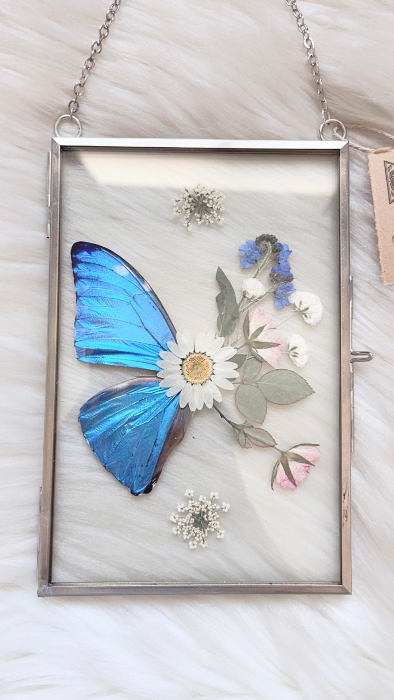 Brielle Butterfly Floral Frame <4x6in>