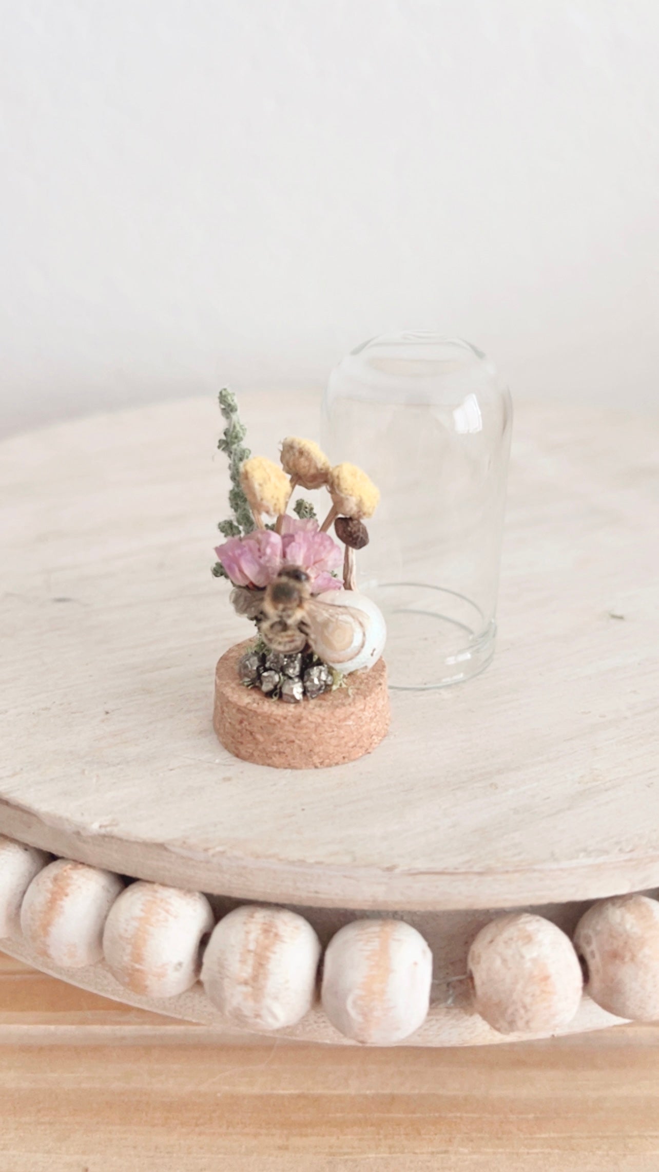 Brisa Mini Terrarium