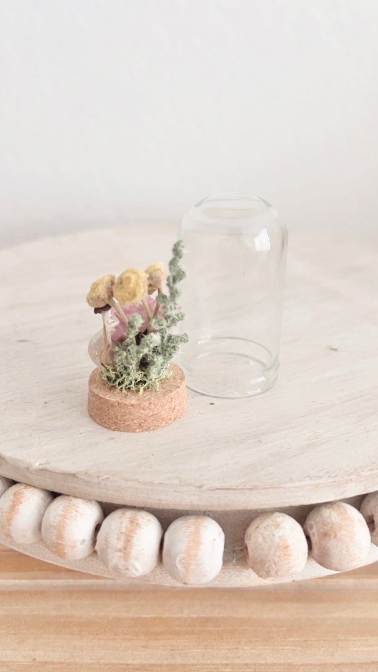 Brisa Mini Terrarium