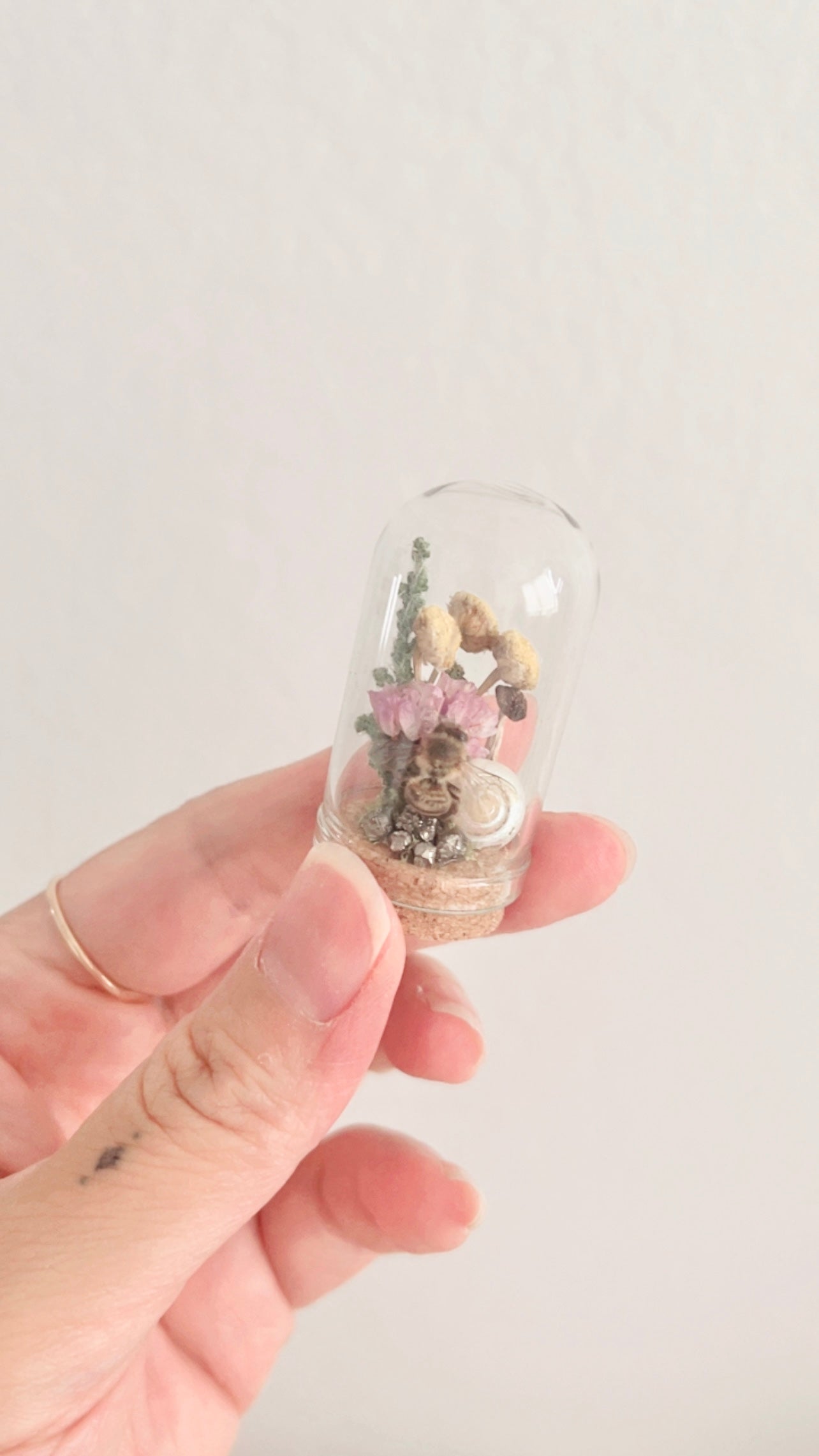 Brisa Mini Terrarium