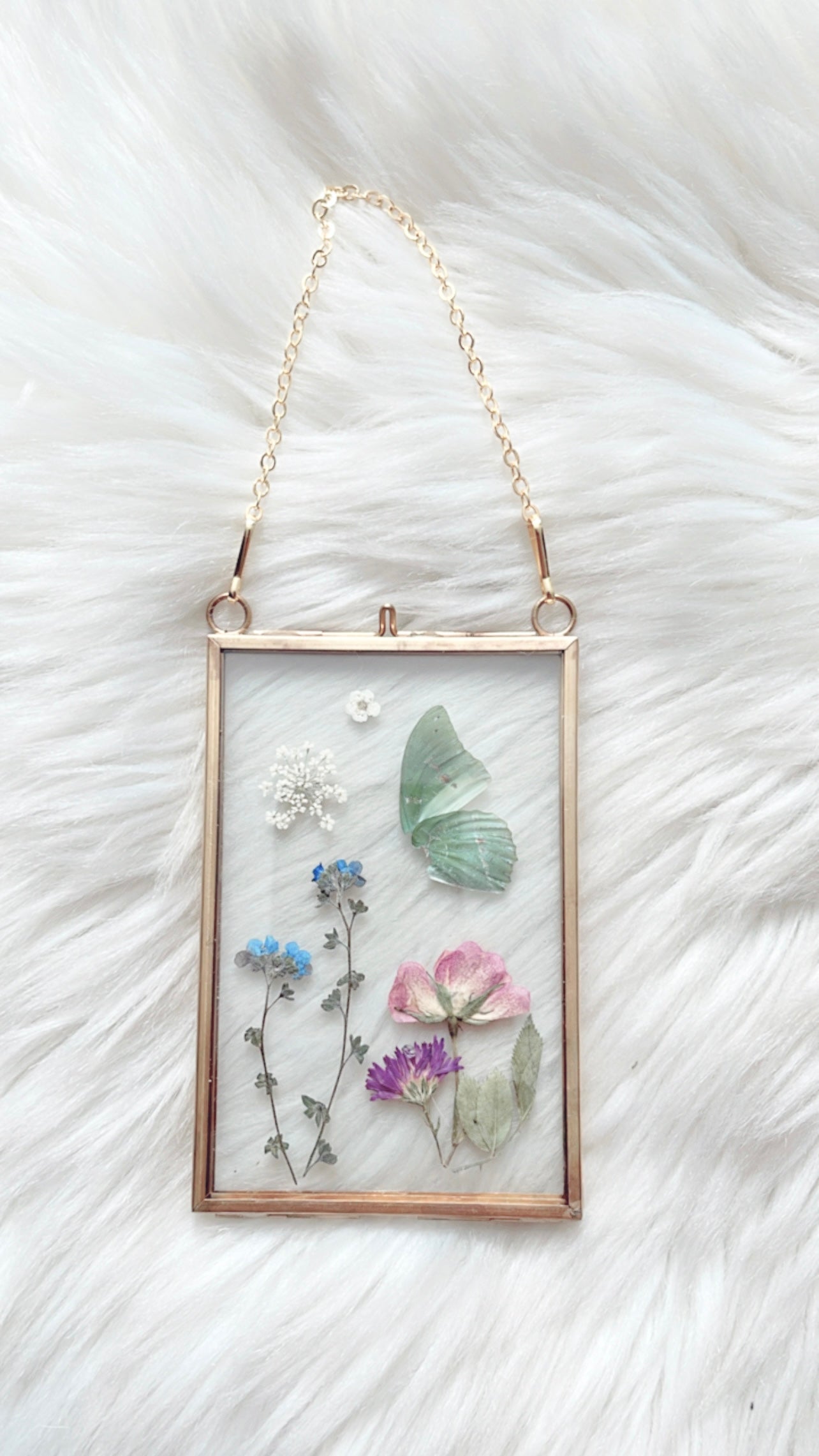 Cacia Butterfly Floral Frame
