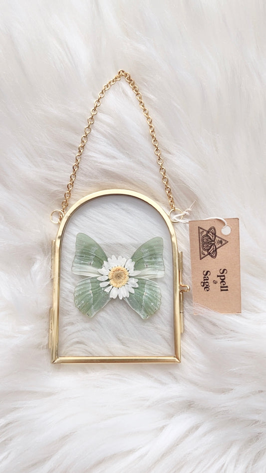 Cacia Butterfly Floral Frame <2.5x3.5in>