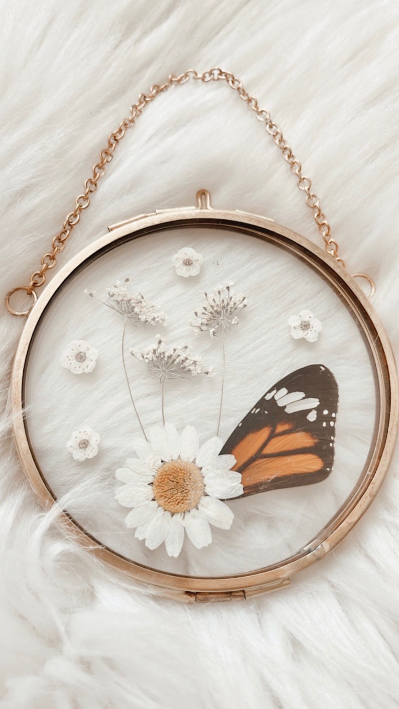 Cacia Butterfly Floral Frame