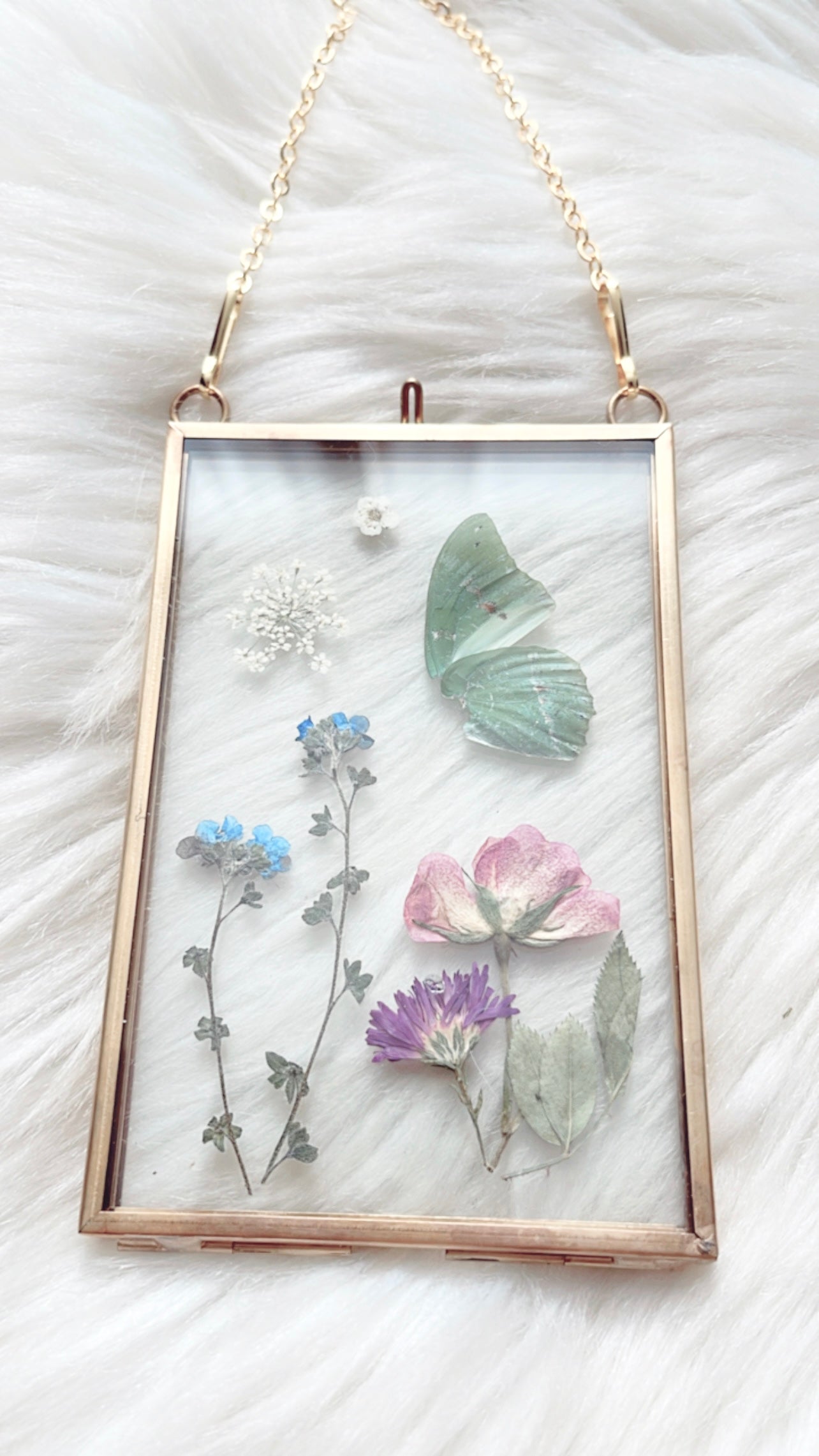 Cacia Butterfly Floral Frame