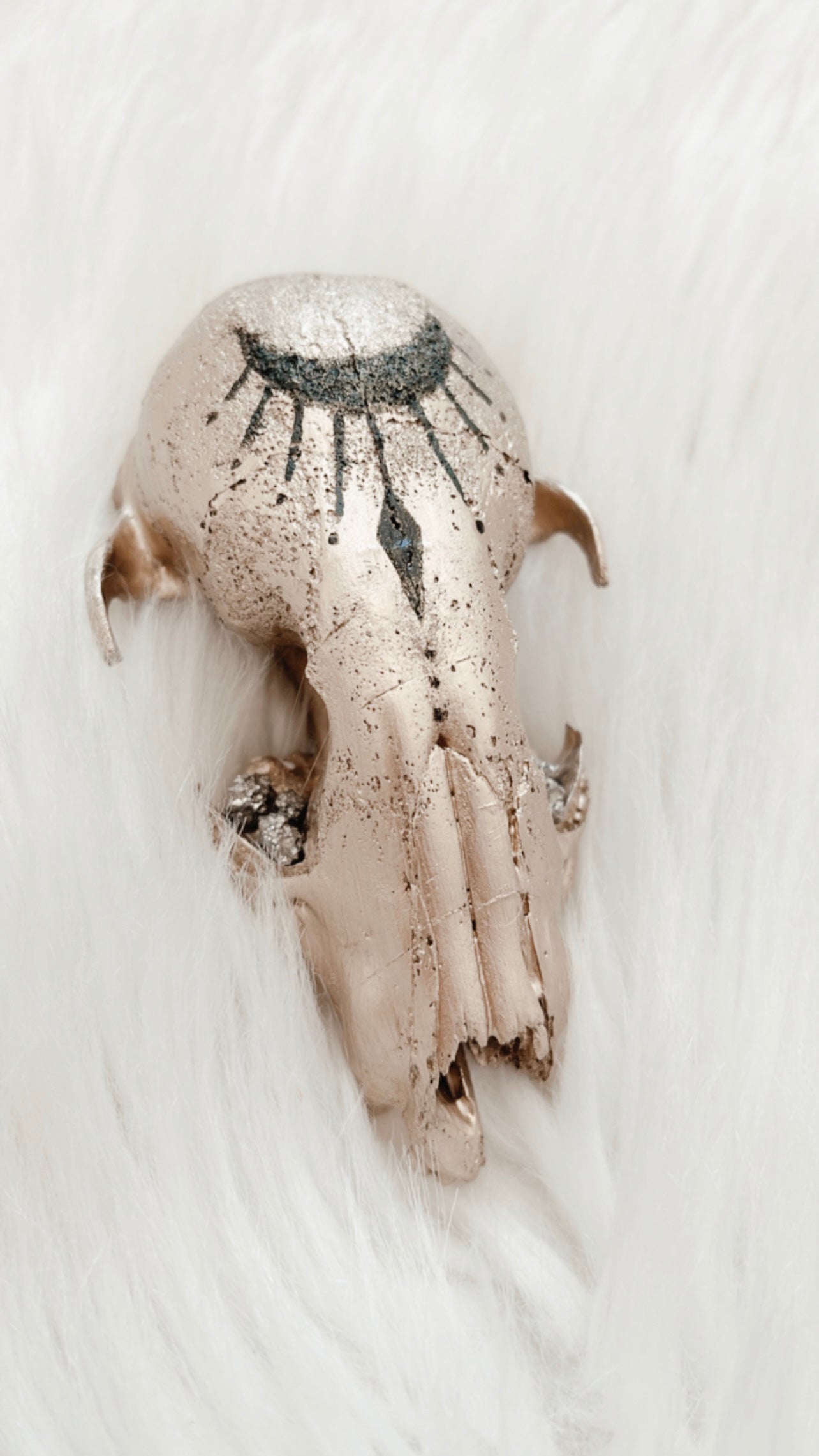 Caius Raccoon Skull