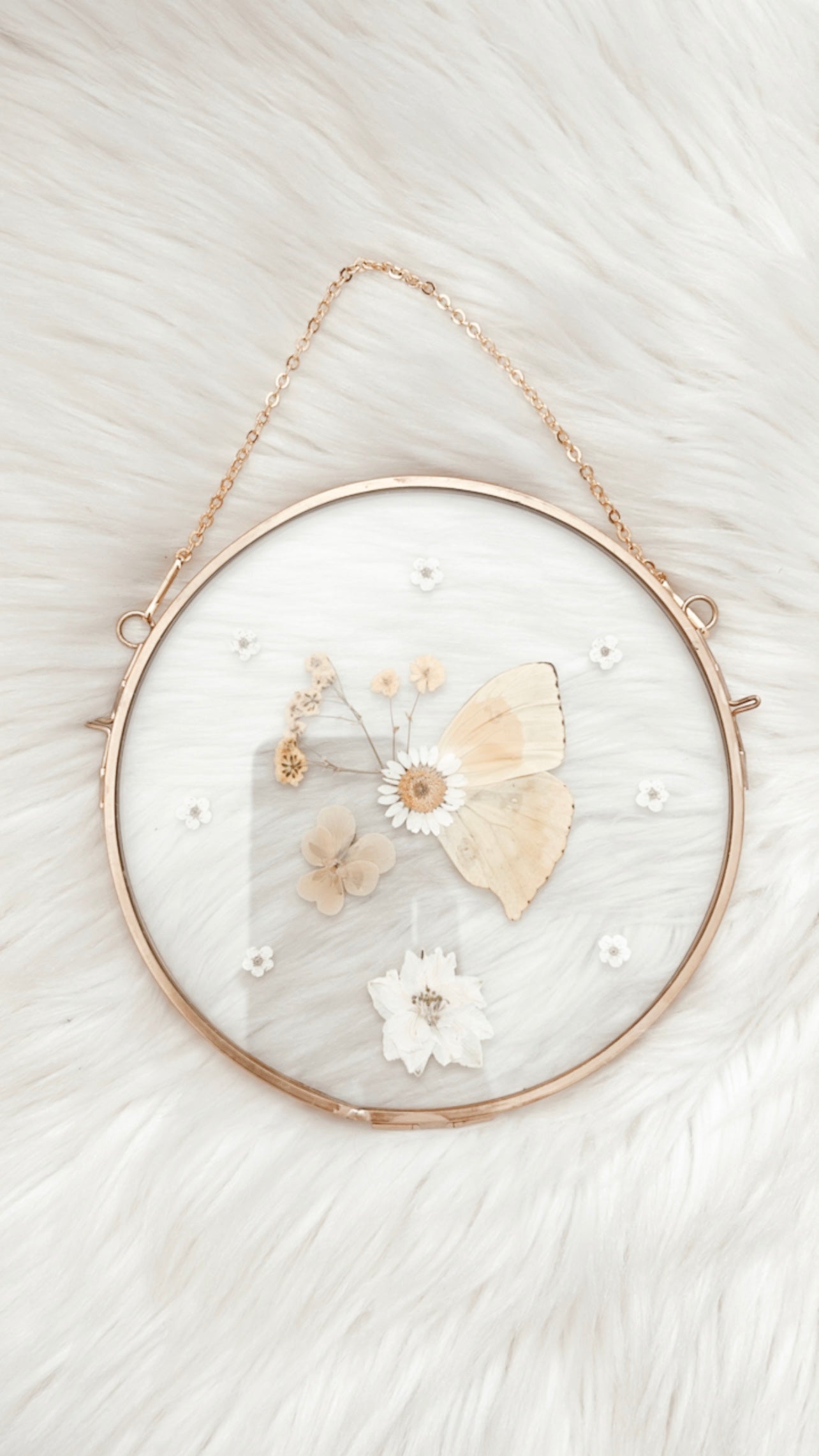 Camila Butterfly Floral Frame