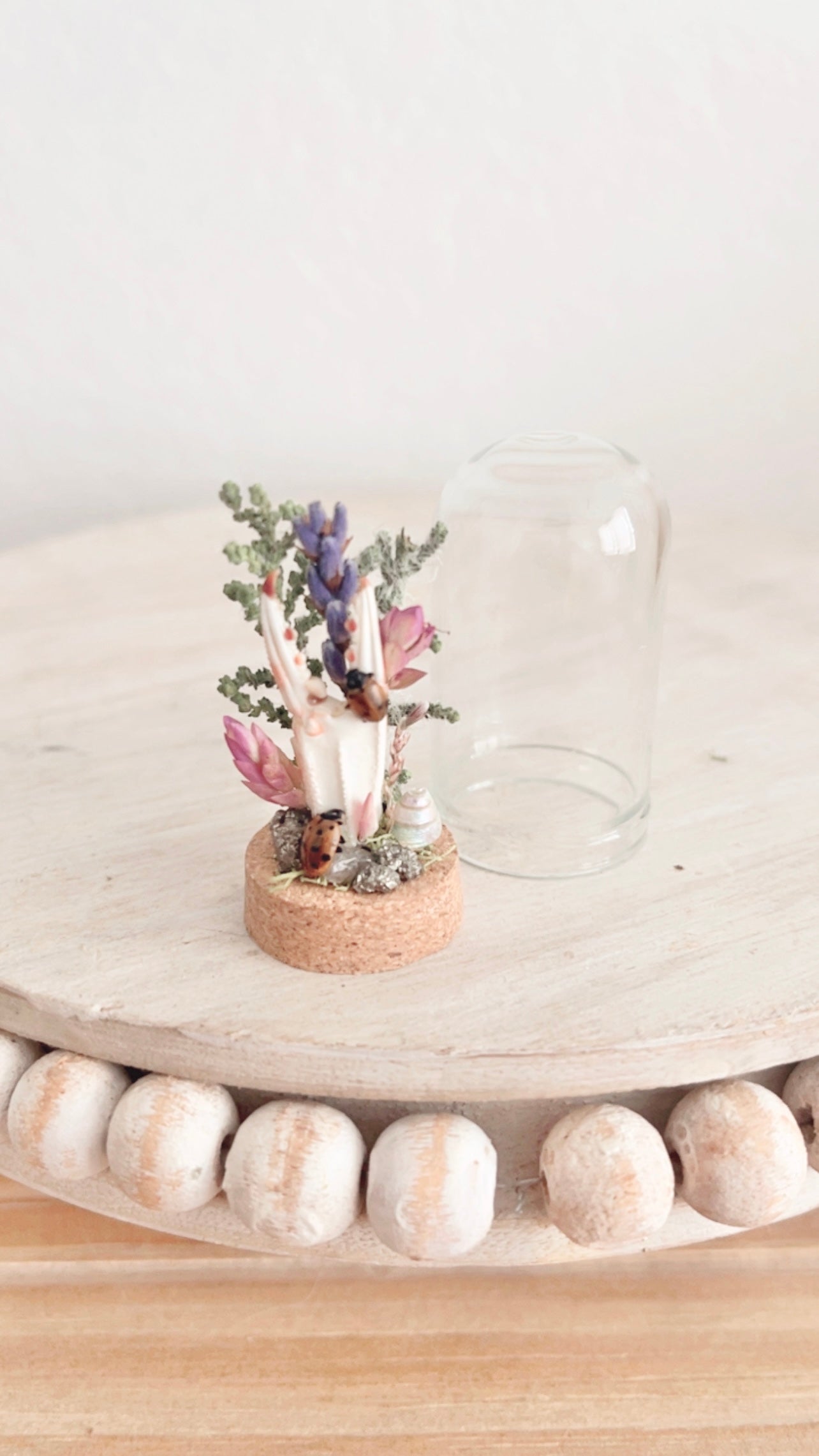 Capri Mini Terrarium