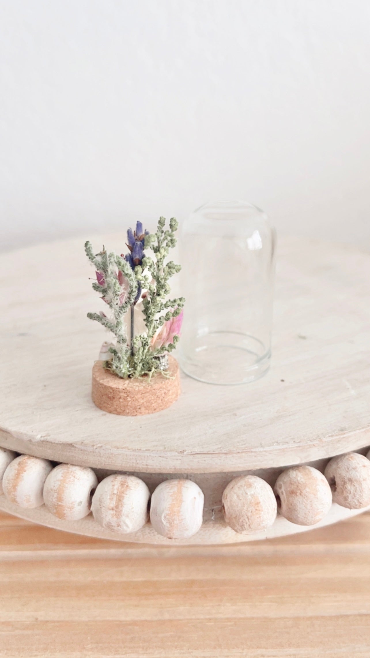 Capri Mini Terrarium