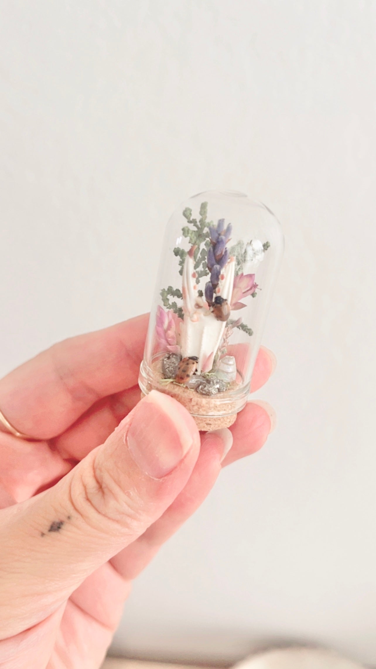 Capri Mini Terrarium