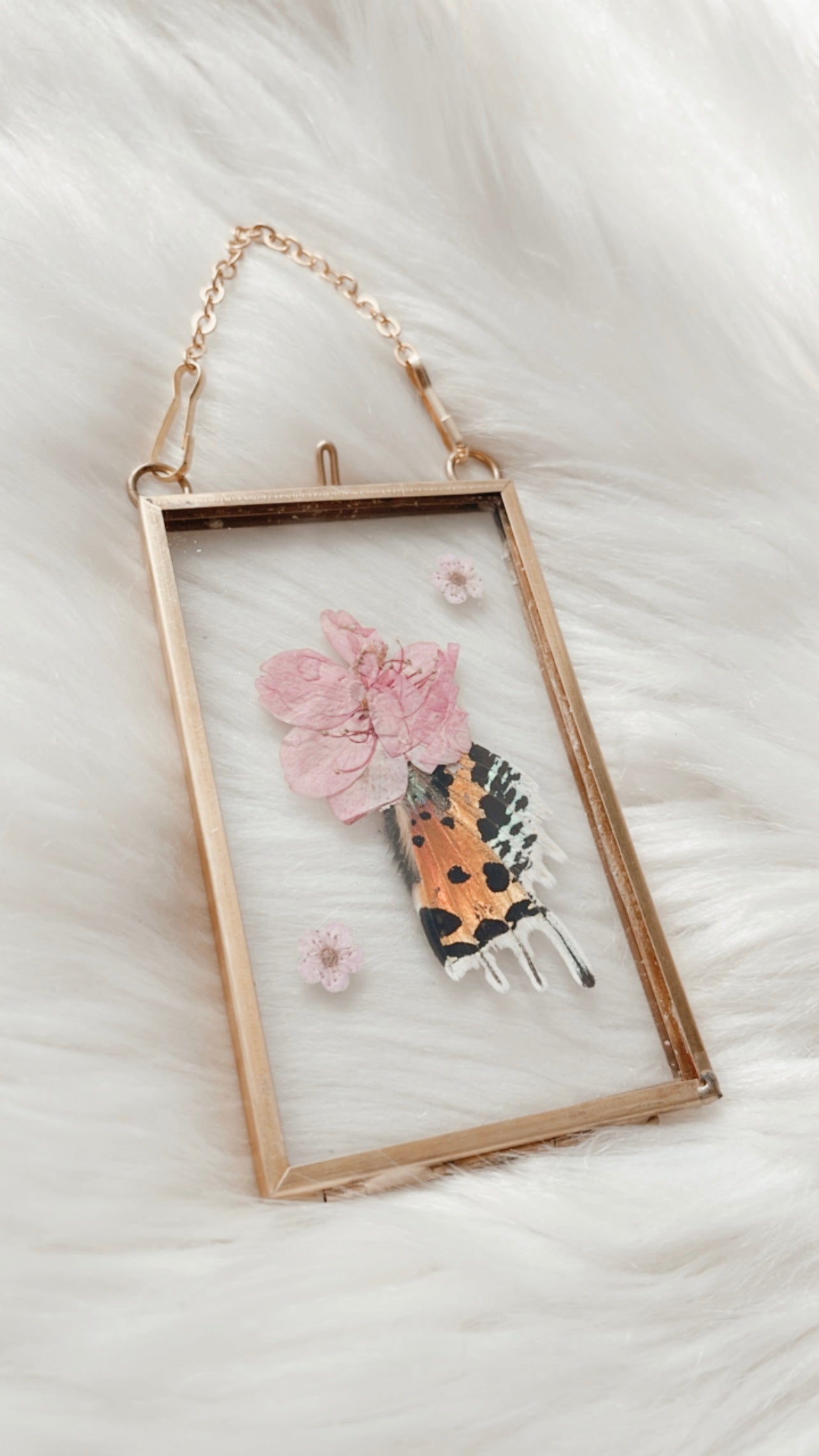Carly Sunset Moth Floral Frame