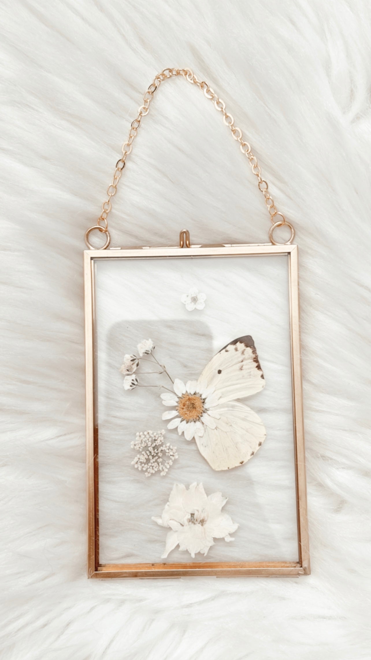Carole Butterfly Floral Frame