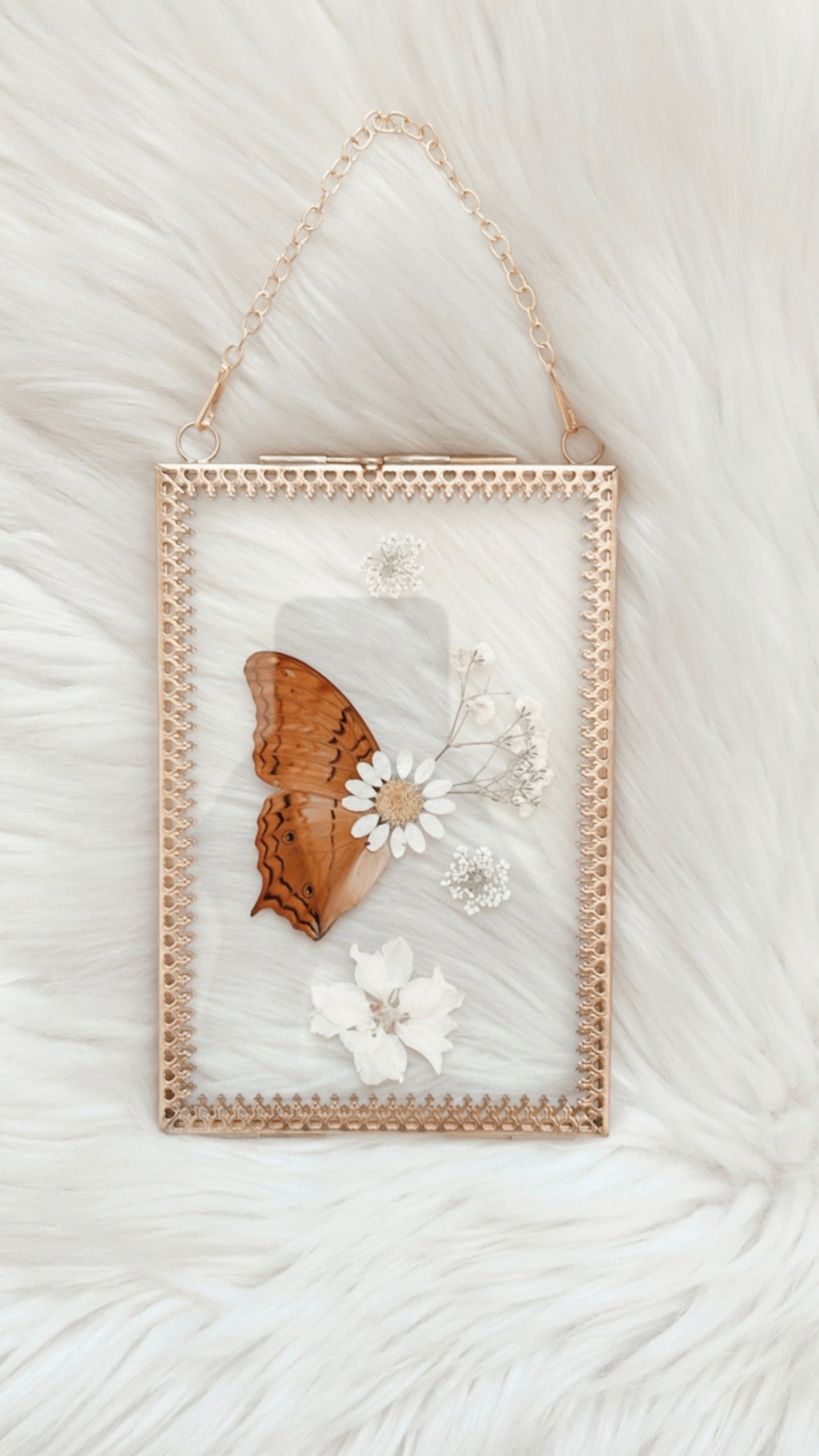 Caroline Butterfly Floral Frame