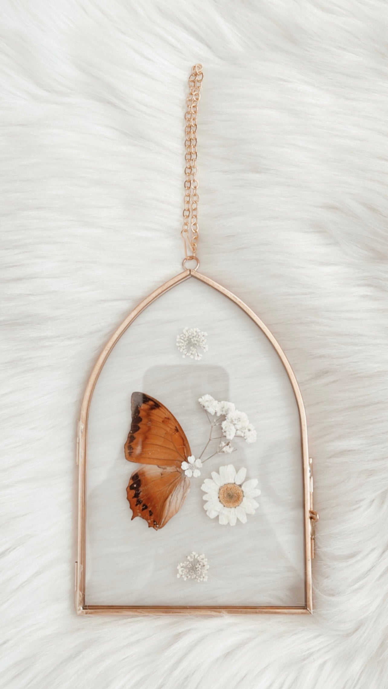 Cassidy Butterfly Floral Frame