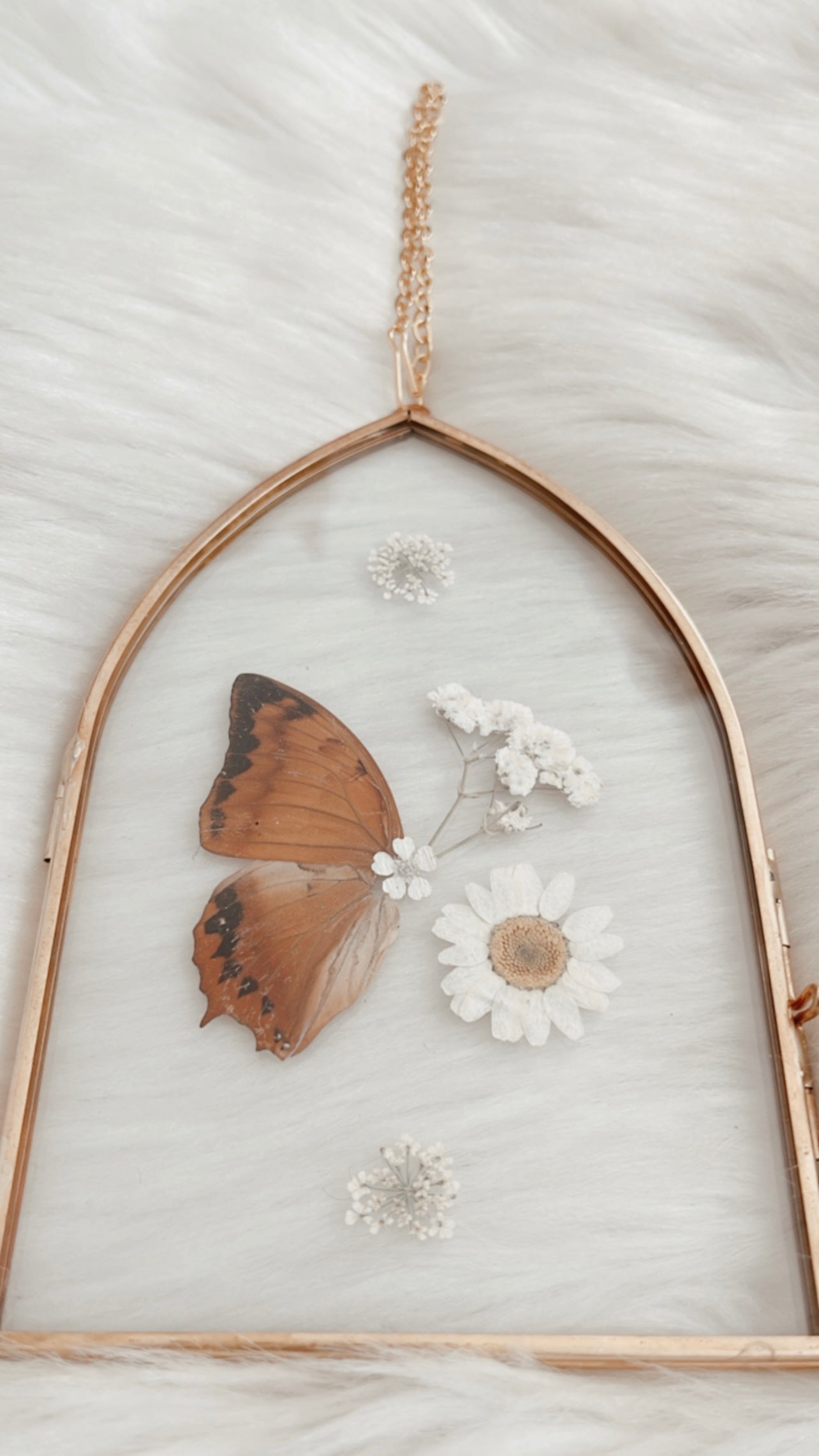 Cassidy Butterfly Floral Frame