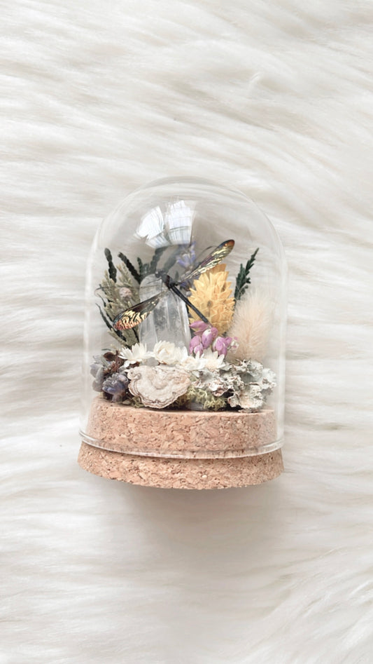 Cecily Terrarium
