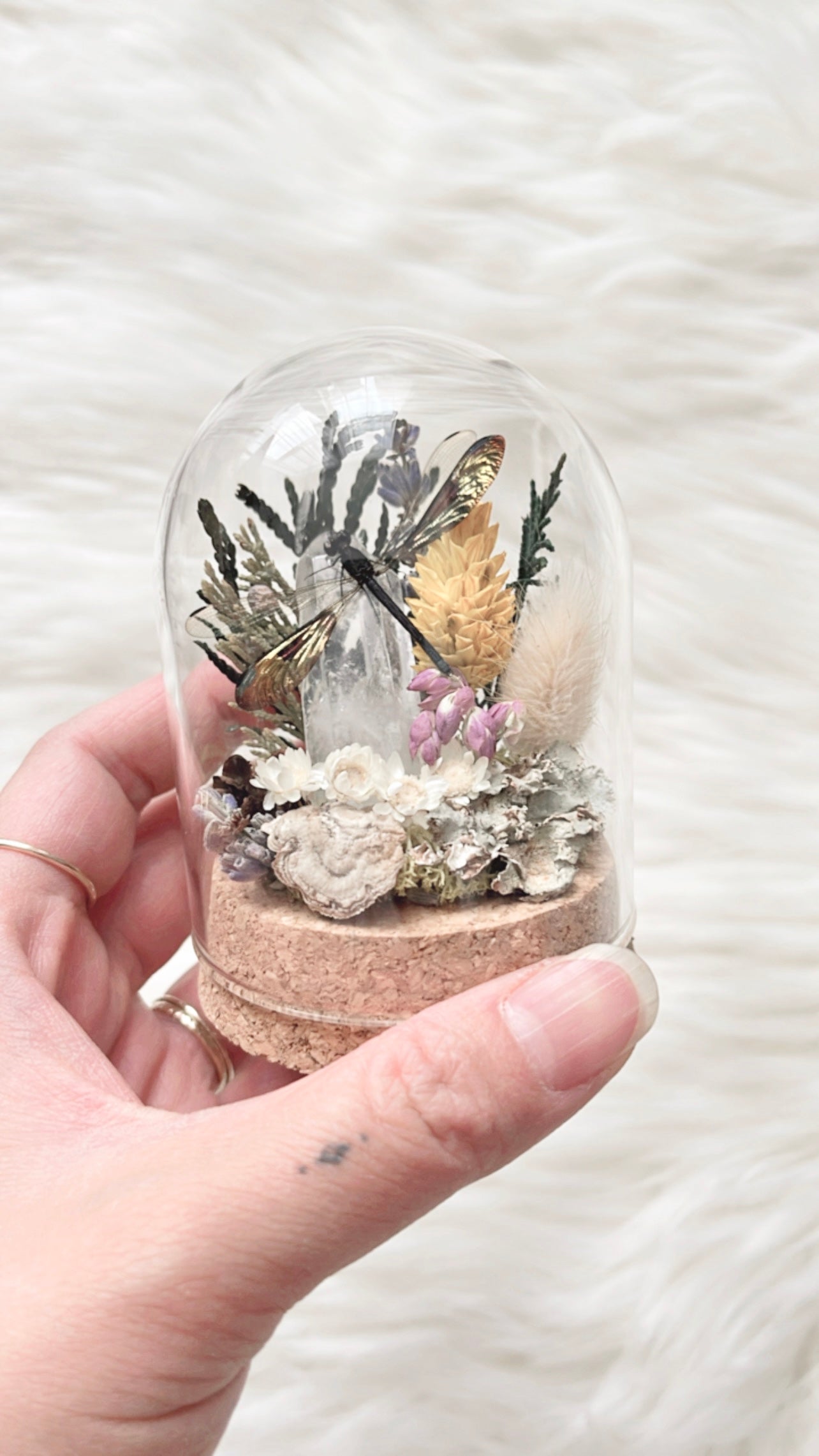Cecily Terrarium