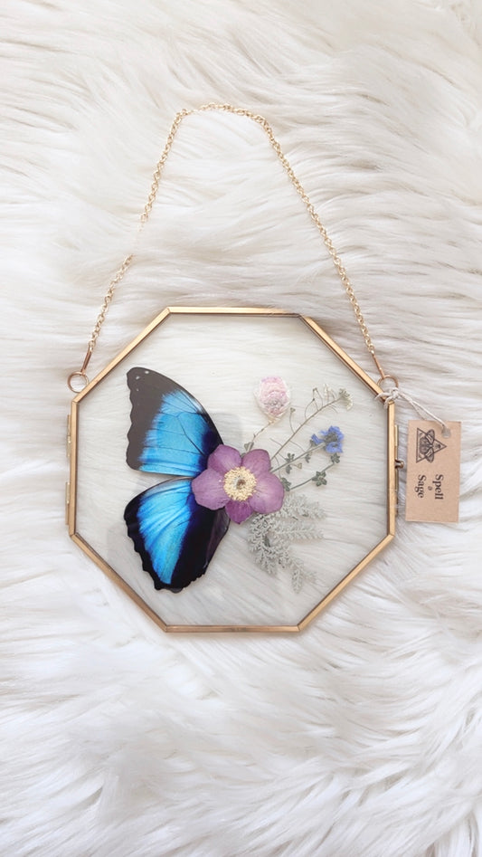 Celine Butterfly Floral Frame <6x6in>