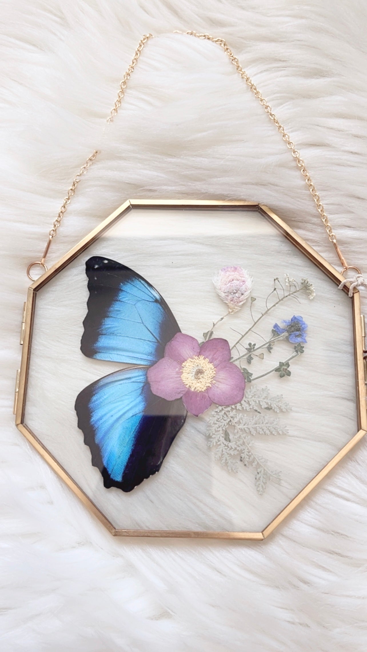 Celine Butterfly Floral Frame <6x6in>
