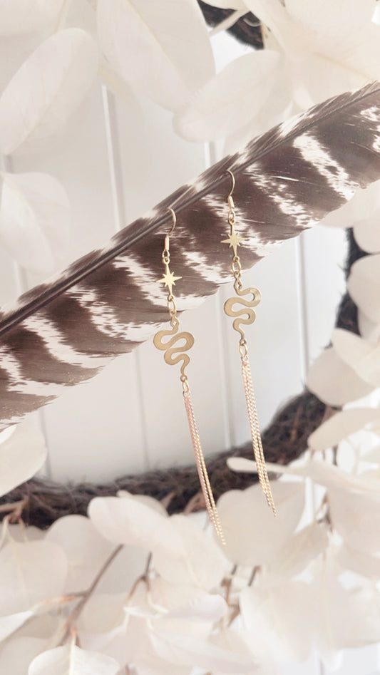 Celine Brass Earrings
