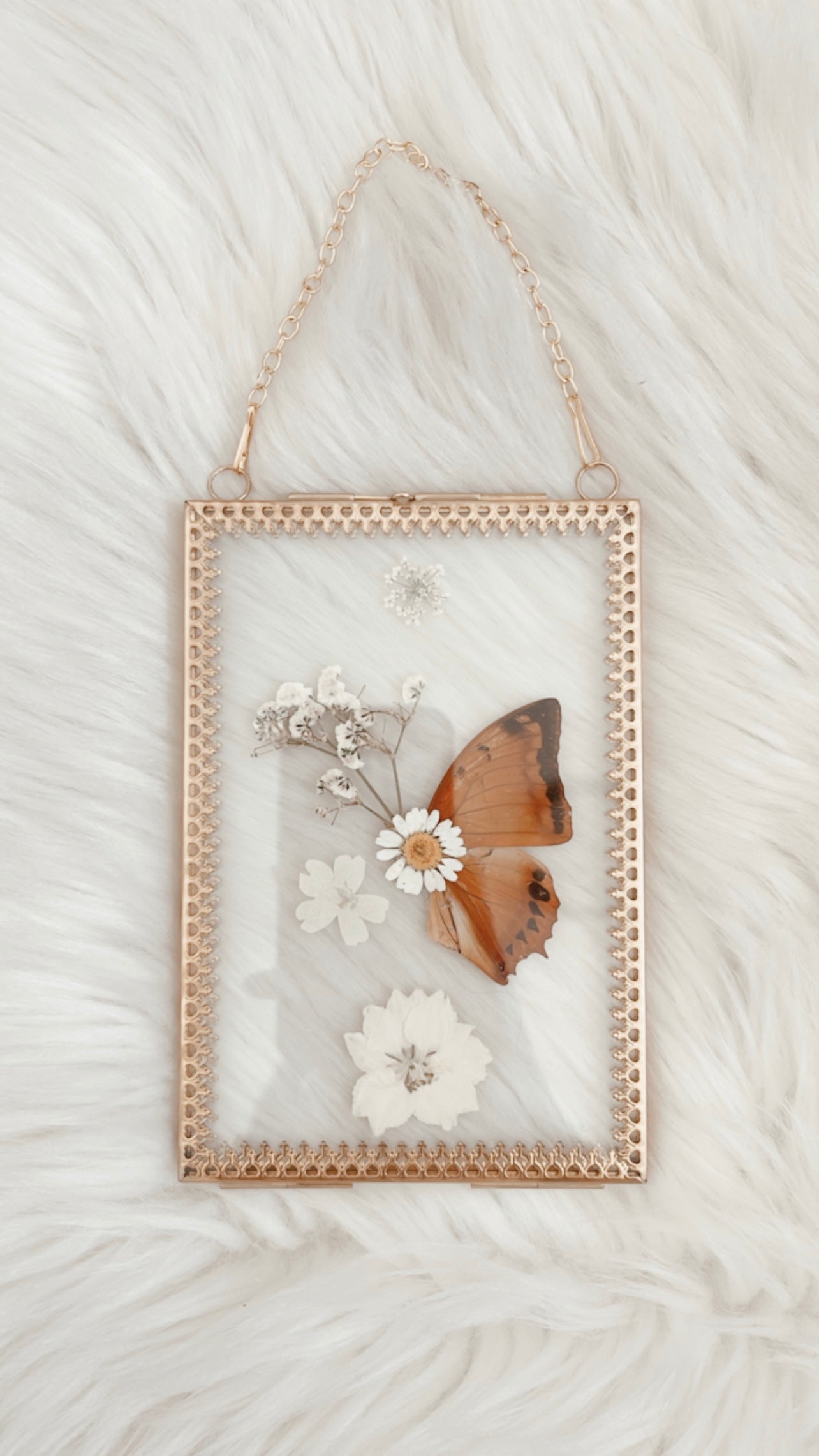 Celine Butterfly Floral Frame