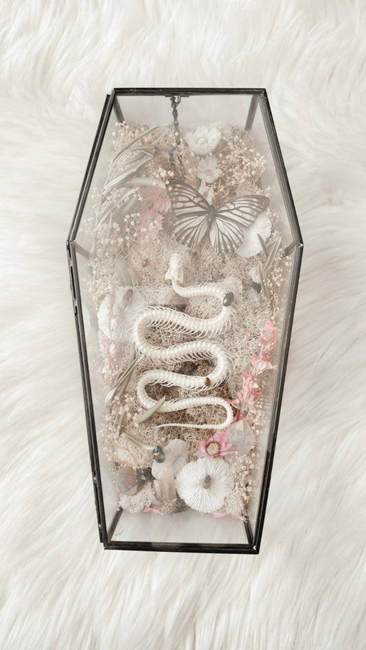 ❋ September 20, 2025 ❋ 11:30a - Snake Skelly Oddities Coffin