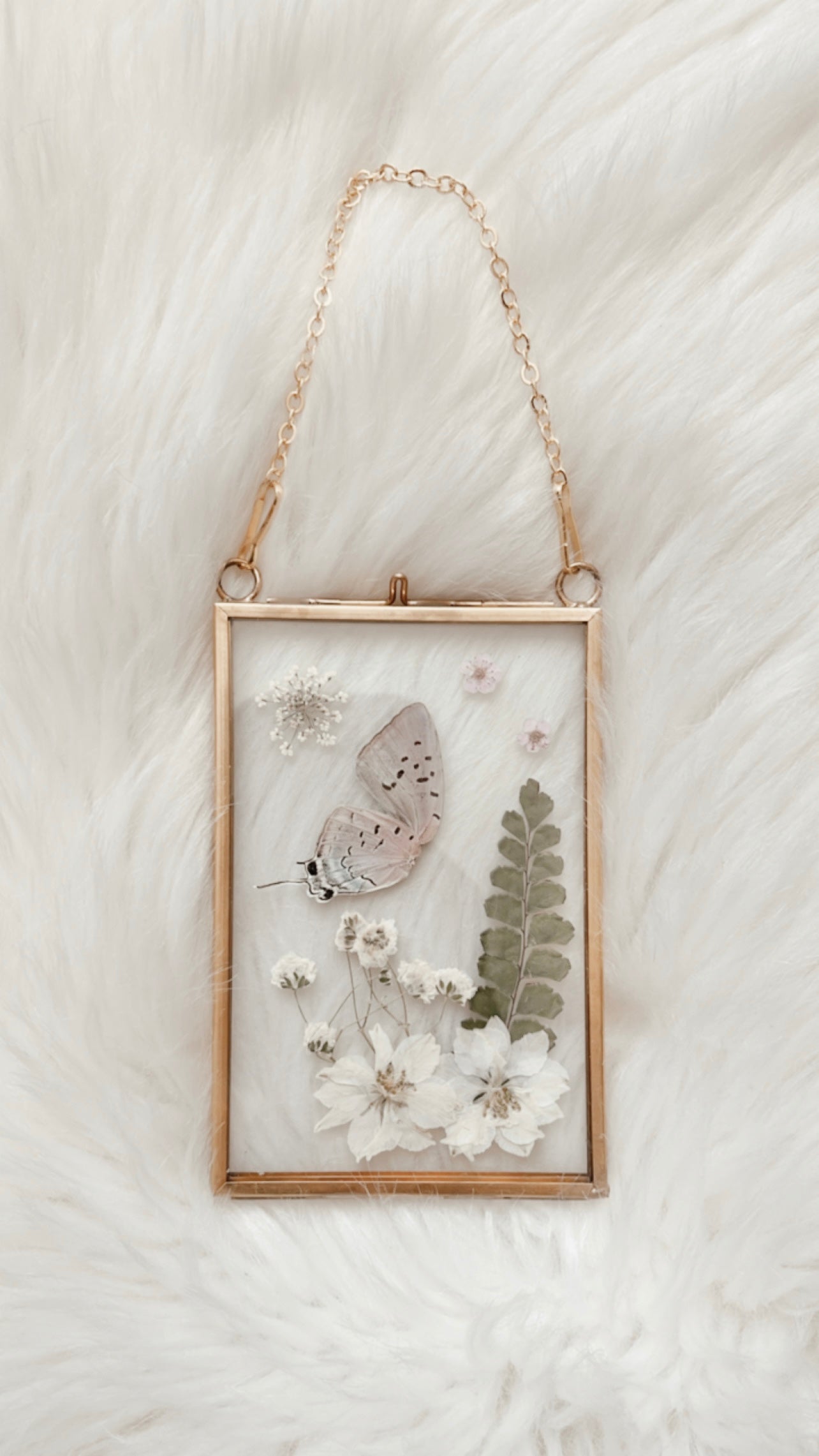 Charlotte Butterfly Floral Frame