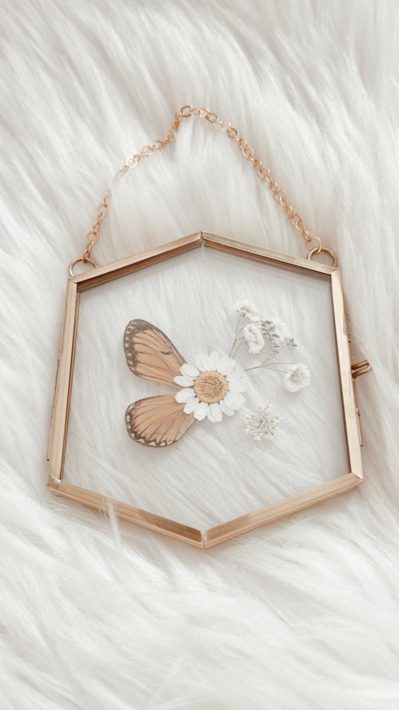 Charlotte Butterfly Floral Frame
